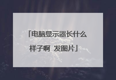 电脑显示器长什么样子啊 发图片