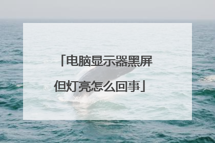 电脑显示器黑屏但灯亮怎么回事