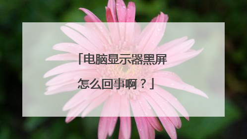 电脑显示器黑屏怎么回事啊?