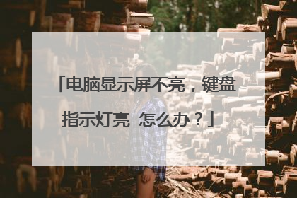 电脑显示屏不亮,键盘指示灯亮 怎么办?