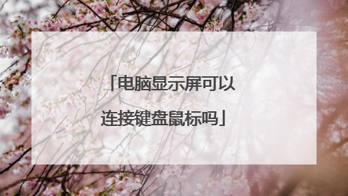 电脑显示屏可以连接键盘鼠标吗