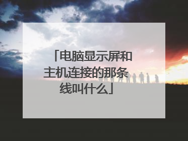 电脑显示屏和主机连接的那条线叫什么