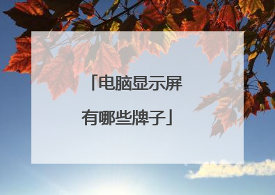 电脑显示屏有哪些牌子