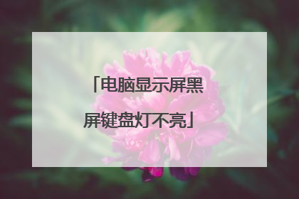 电脑显示屏黑屏键盘灯不亮