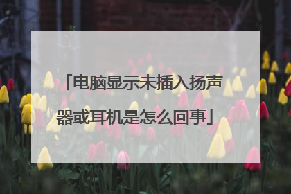 电脑显示未插入扬声器或耳机是怎么回事