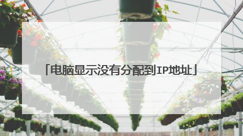 电脑显示没有分配到IP地址