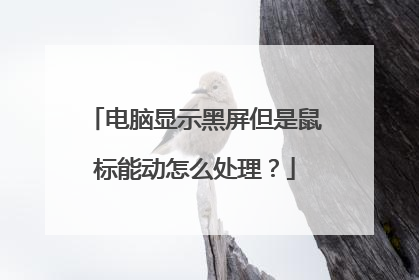 电脑显示黑屏但是鼠标能动怎么处理？