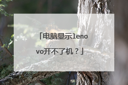 电脑显示lenovo开不了机？
