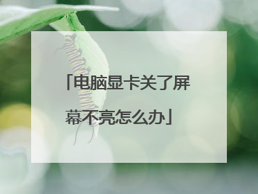 电脑显卡关了屏幕不亮怎么办