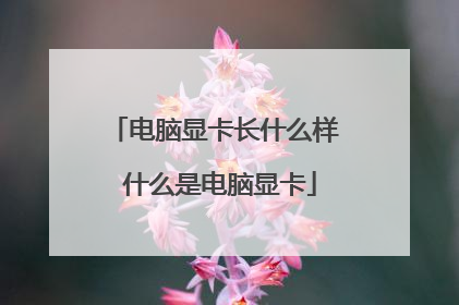 电脑显卡长什么样 什么是电脑显卡