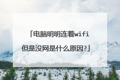 电脑明明连着wifi但是没网是什么原因?
