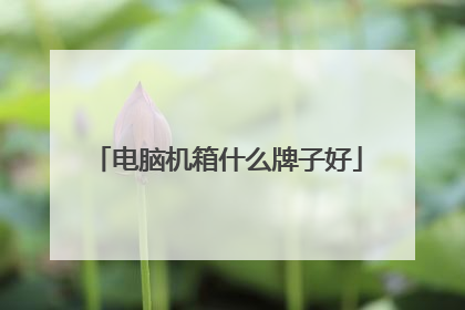 电脑机箱什么牌子好