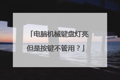 电脑机械键盘灯亮但是按键不管用？