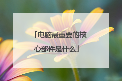 电脑最重要的核心部件是什么