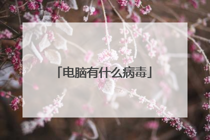 电脑有什么病毒