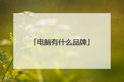 电脑有什么品牌