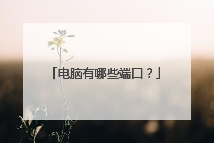 电脑有哪些端口?