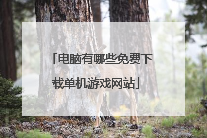 电脑有哪些免费下载单机游戏网站