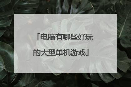电脑有哪些好玩的大型单机游戏