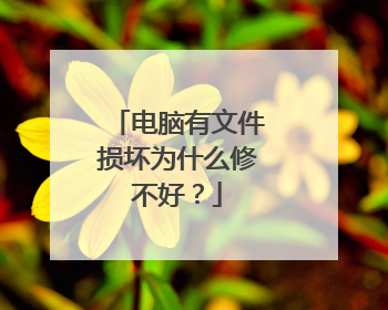 电脑有文件损坏为什么修不好?