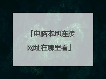 电脑本地连接网址在哪里看