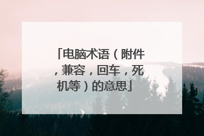 电脑术语(附件,兼容,回车,死机等)的意思