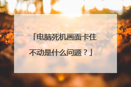 电脑死机画面卡住不动是什么问题？