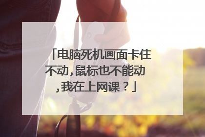电脑死机画面卡住不动,鼠标也不能动,我在上网课？