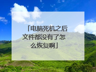 电脑死机之后文件都没有了怎么恢复啊