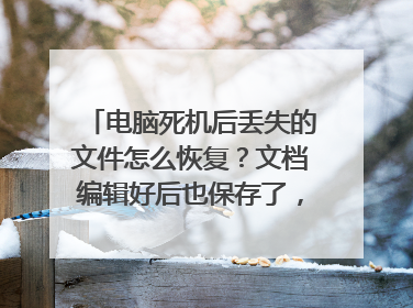电脑死机后丢失的文件怎么恢复?文档编辑好后也保存了,但是电脑死机后文档不见了,请问怎么能找回?