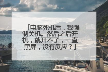 电脑死机后,我强制关机。然后之后开机,就开不了,一直黑屏,没有反应?