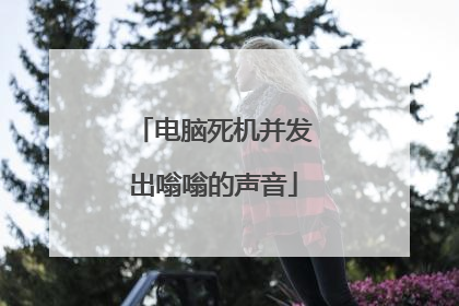 电脑死机并发出嗡嗡的声音