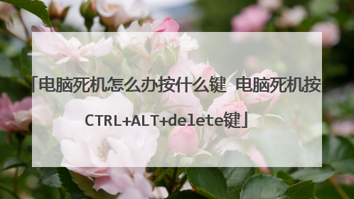 电脑死机怎么办按什么键 电脑死机按CTRL+ALT+delete键