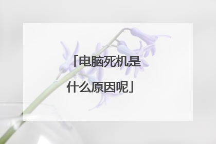 电脑死机是什么原因呢