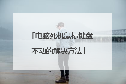 电脑死机鼠标键盘不动的解决方法