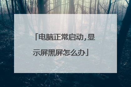 电脑正常启动,显示屏黑屏怎么办