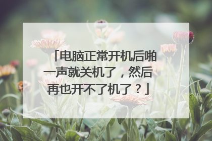 电脑正常开机后啪一声就关机了,然后再也开不了机了?