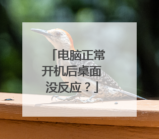 电脑正常开机后桌面没反应?