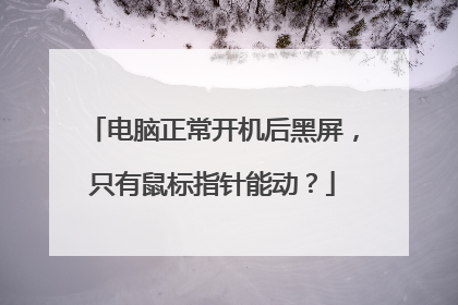 电脑正常开机后黑屏，只有鼠标指针能动？