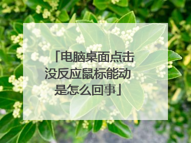 电脑桌面点击没反应鼠标能动是怎么回事