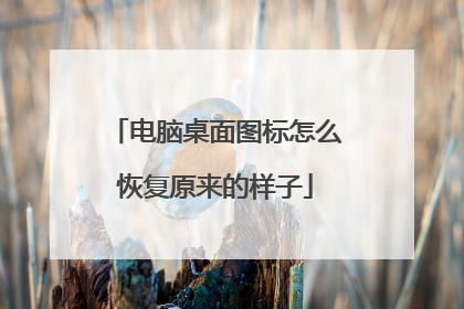 电脑桌面图标怎么恢复原来的样子