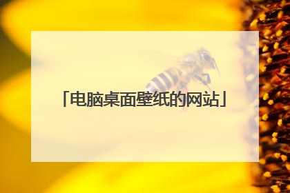 电脑桌面壁纸的网站