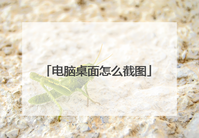 电脑桌面怎么截图