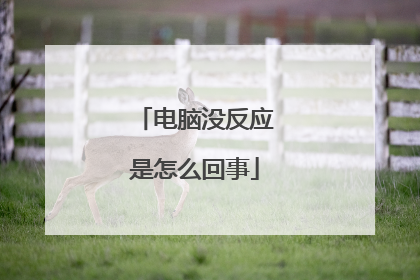 电脑没反应是怎么回事