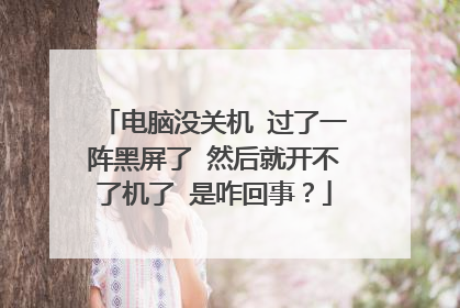 电脑没关机 过了一阵黑屏了 然后就开不了机了 是咋回事?