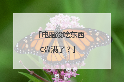 电脑没啥东西C盘满了?