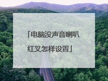 电脑没声音喇叭红叉怎样设置
