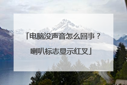 电脑没声音怎么回事? 喇叭标志显示红叉