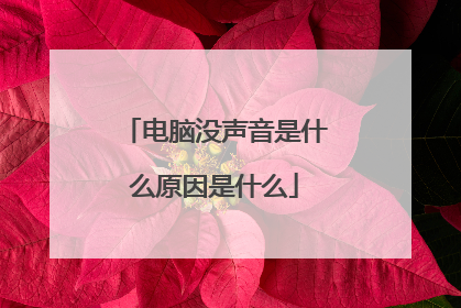 电脑没声音是什么原因是什么