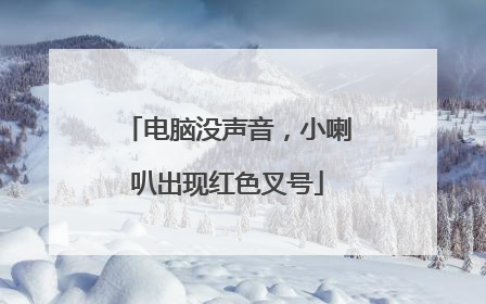 电脑没声音,小喇叭出现红色叉号